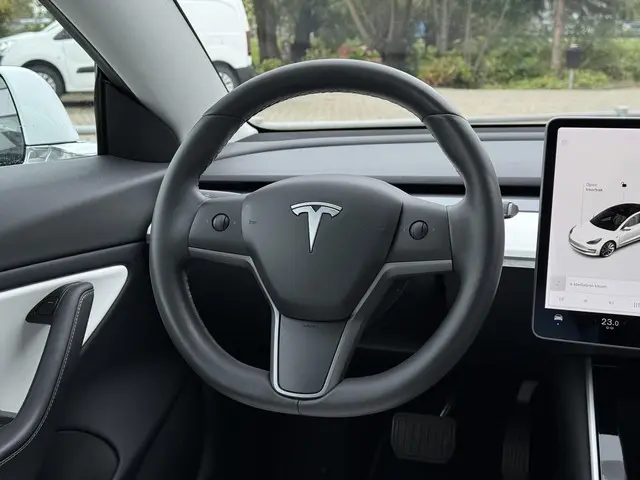 Tesla Model 3 Range Plus RWD 2020 Elektrisch 18