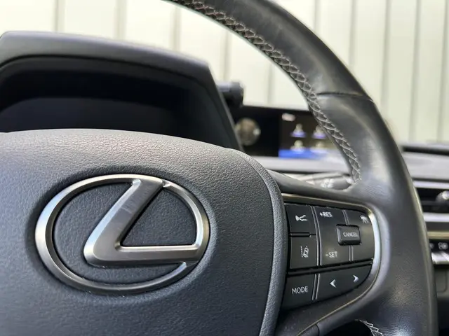 Lexus UX 300e Business 54 kWh 2020 Elektrisch 29