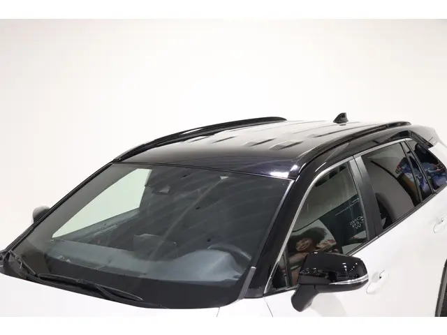 Toyota RAV4 2.5 Hybrid AWD Bi-Tone, 2020 Hybride Benzine 23