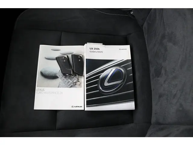 Lexus UX 250h Business Line 2019 Hybride Benzine 11
