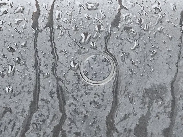 Citroën Berlingo 1.2 2021 Diesel 18