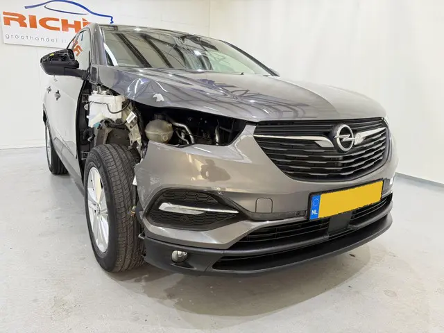 Opel Grandland X 1.2T Business Exe Automaat 2018 Benzine 18
