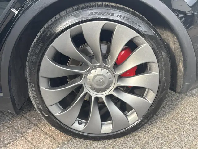 Tesla Model Y Performance AWD 75 kWh 2022 Elektrisch 14