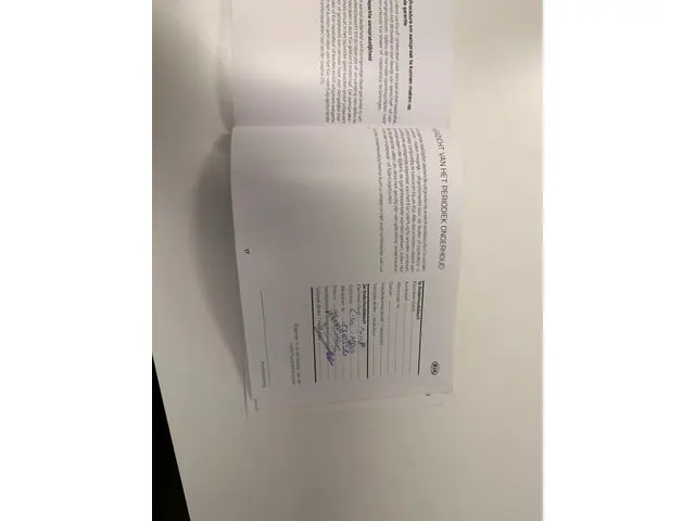 Kia e-Niro ExecutiveLine 64 kWh 2021 Elektrisch 26