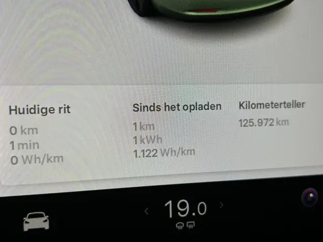 Tesla Model 3 Standard RWD Plus 60 kWh 2020 Elektrisch 24