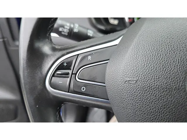 Renault Kadjar 1.3 TCe Intens 2019 Benzine 24