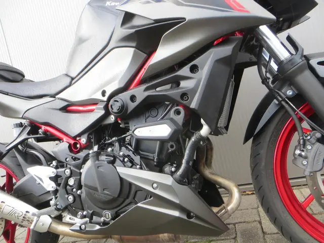Kawasaki Z500 SE 2024 Benzine 8