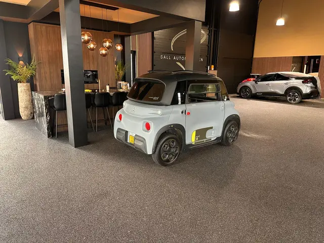 Citroën Ami AMI 2023 Elektrisch 5