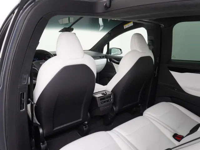 Tesla Model X Long Range 100Kwh 2020 Elektrisch 22