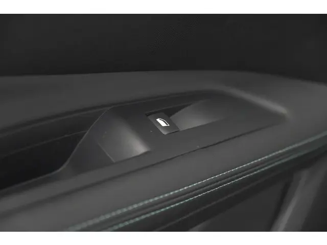 Peugeot 3008 PureTech 130 Allure 2021 Benzine 30