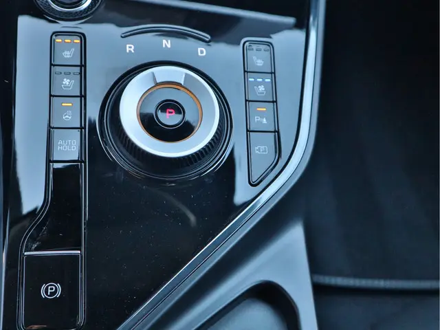 Kia Niro EV ExecutiveLine 64.8 kWh 2024 Elektrisch 20