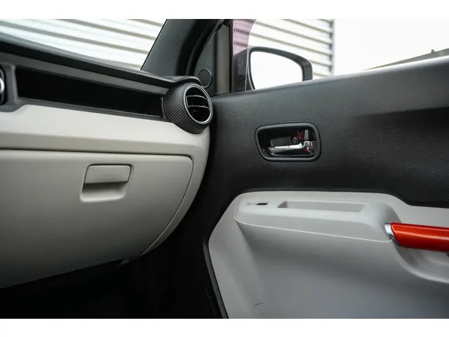 Suzuki Ignis 1.2 Stijl 2017 Benzine 21