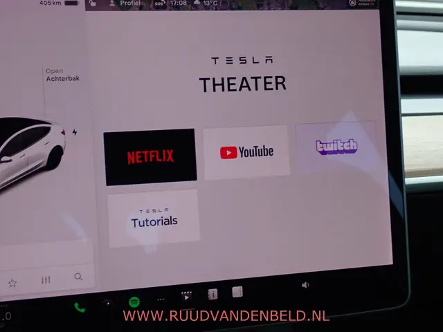 Tesla Model 3 Performance AWD 75kWh 2020 Elektrisch 26