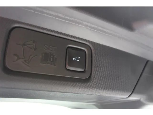 Ford Mustang Mach-E Extended AWD 98 kWh 2021 Elektrisch 21