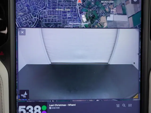 Tesla Model X Long Range 100Kwh 2020 Elektrisch 41