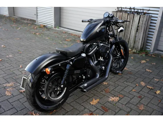 Harley-Davidson Sportster XL 883 N Iron 2013 Benzine 6