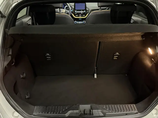 Ford Fiesta 1.0 EcoBoost Active 2018 Benzine 31