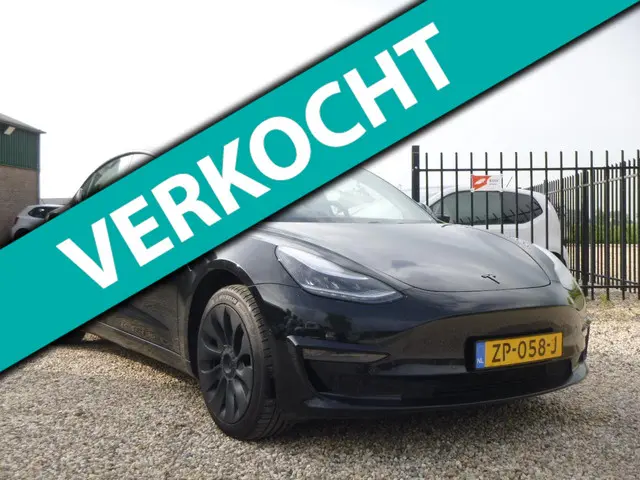 Tesla Model 3 Standard RWD Plus 60 kWh 2019 Elektrisch