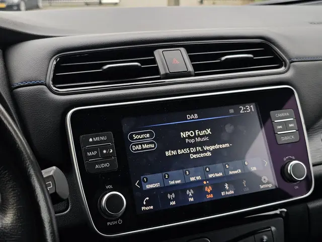 Nissan Leaf e+ Tekna 62 kWh 2020 Elektrisch 13