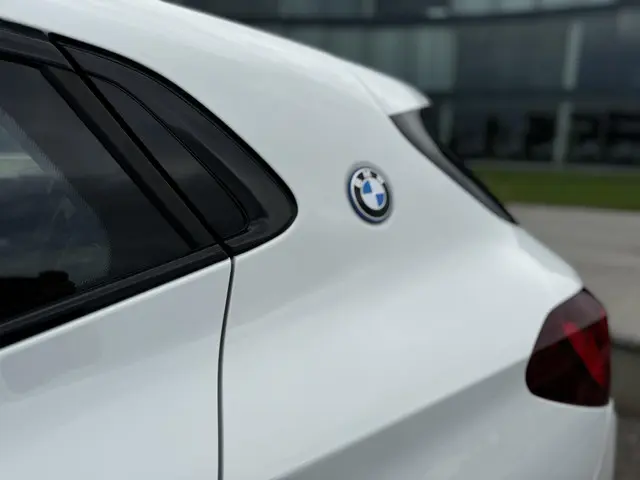 BMW X2 xDrive25e High Executive 2023 Hybride Benzine 11