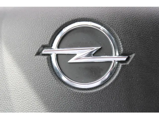 Opel Grandland X 1.2T 130 INNOVATION 2019 Benzine 38