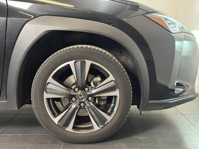 Lexus UX 250h Preference Line 2021 Hybride Benzine 20