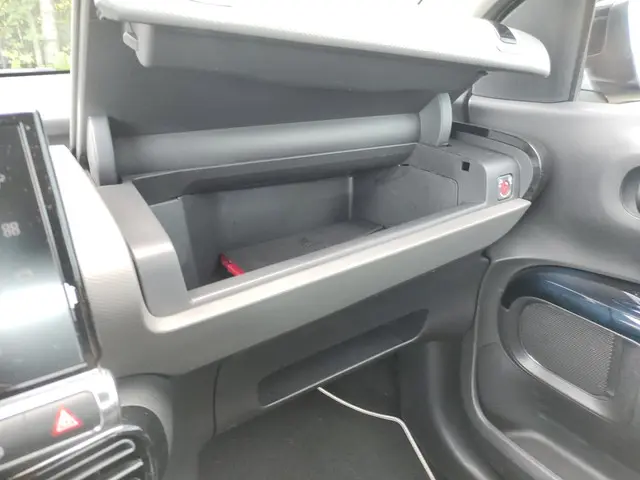 Citroën C4 Cactus 1.2 PureTech Origins 2019 Benzine 17