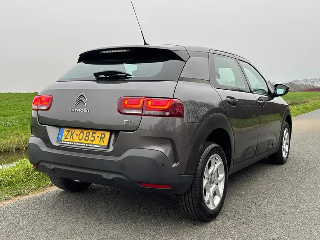 Citroën C4 Cactus 1.2 PureTech Business 2019 Benzine 3