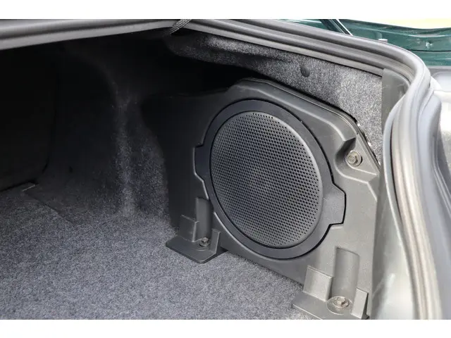 Ford Mustang Fastback Bullitt 2019 Benzine 19