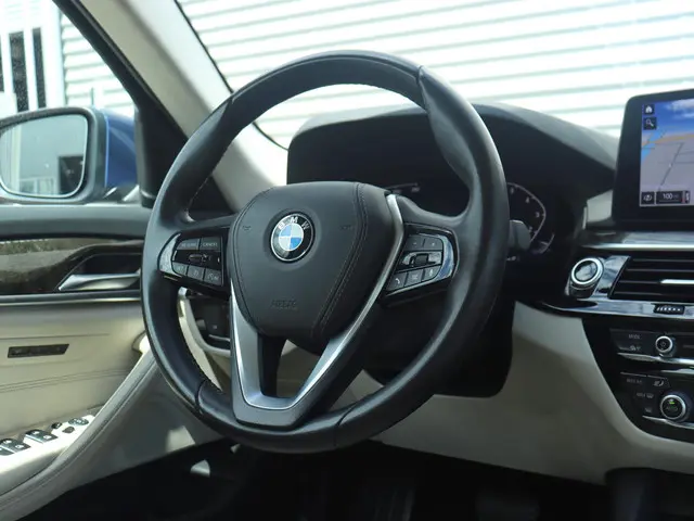 BMW 5 Serie Sedan 520i 2020 Benzine 32