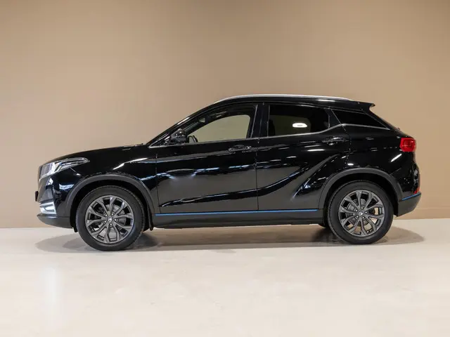 Seres 3 52kWh / 163pk / Panorama dak / Leder / 2021 Elektrisch 12