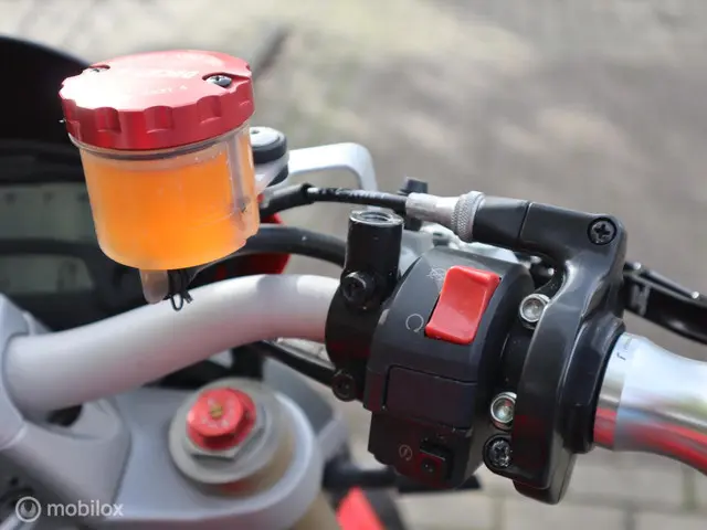 Ducati Monster 1100 EVO 2013 Benzine 10