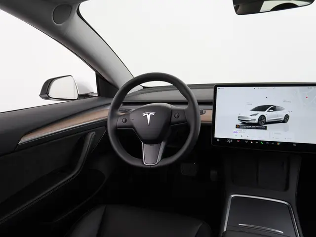 Tesla Model 3 Long Range RWD 75 kWh 2023 Elektrisch 24