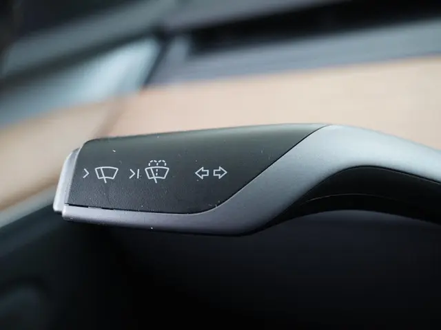 Tesla Model Y Performance AWD 75 kWh 2022 Elektrisch 25