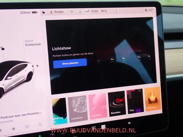 Tesla Model 3 Performance AWD 75 kWh 2021 Elektrisch 26