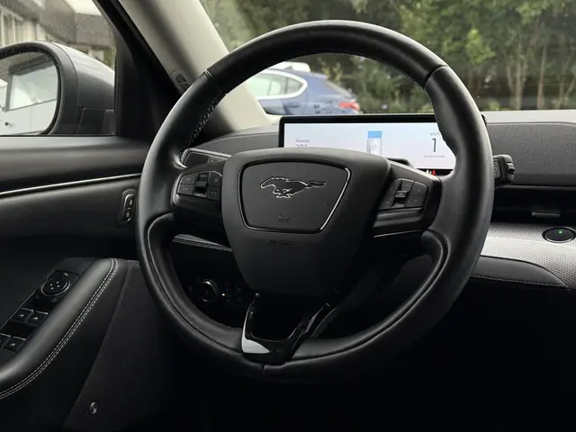 Ford Mustang Mach-E RWD 75 kWh 2021 Elektrisch 19