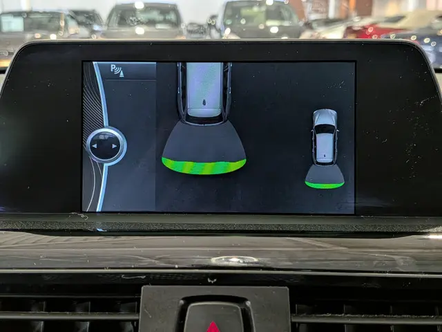 BMW 3 Serie Touring 316i High Executive 2014 Benzine 30