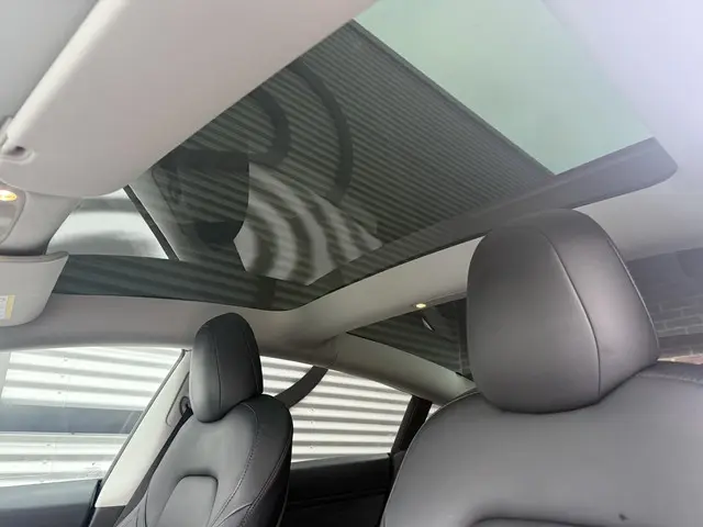 Tesla Model 3 Long Range AWD 75 kWh 2021 Elektrisch 26