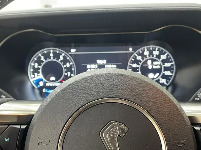 Ford Mustang GT500 Shelby Track Pack 2021 Benzine 15