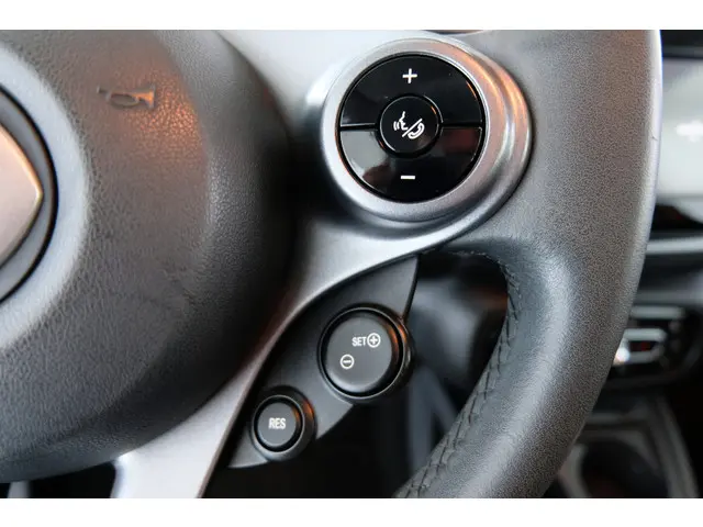 Smart Forfour 1.0 Business Solution 2018 Benzine 15