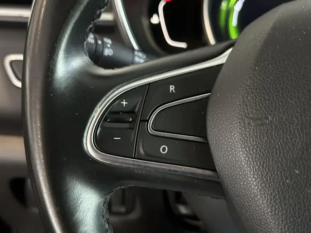 Renault Kadjar 1.3 TCe Intens 2019 Benzine 19