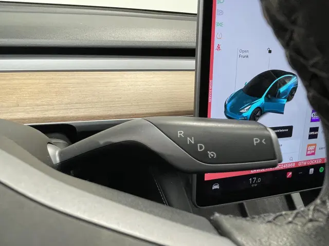 Tesla Model 3 Standard RWD Plus 60 kWh 2021 Elektrisch 19