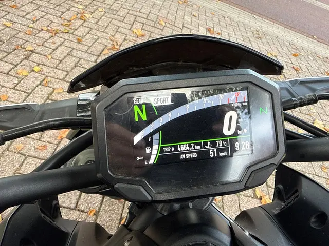 Kawasaki Z900 Naked bike 2020 Benzine 6