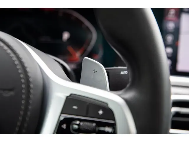 BMW X6 xDrive40i High Executive M Sport 2020 Benzine 61