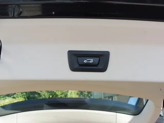 BMW iX3 Executive 80 kWh 2021 Elektrisch 31