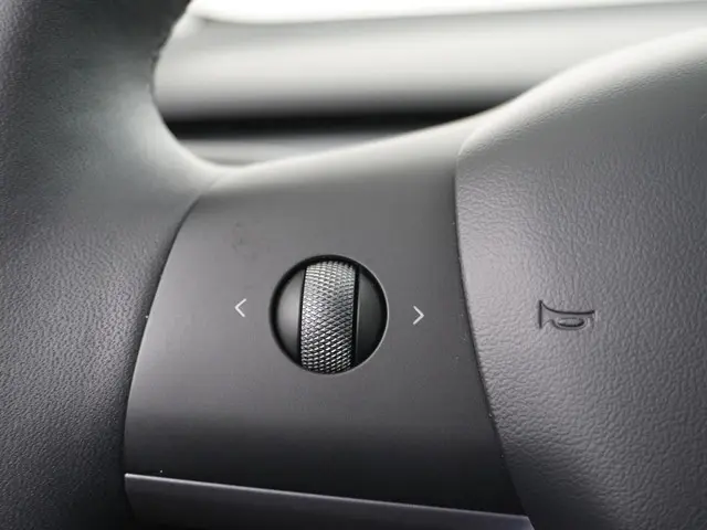 Tesla Model 3 Long Range RWD 75 kWh 2023 Elektrisch 28