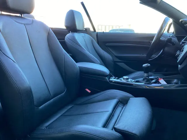 BMW 2 Serie Cabrio 220i M Sport 2016 Benzine 9