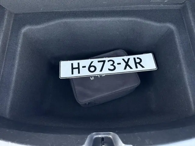 Tesla Model 3 Standard RWD Plus 60 kWh 2020 Elektrisch 26