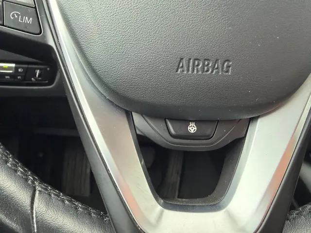 BMW 3 Serie 318i Business Edition Plus 2022 Benzine 12