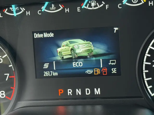 Ford F-150 3.3 V6 SuperCab XL BPM-VRIJ 2024 Benzine 23